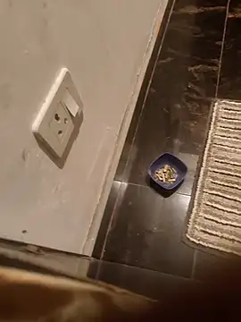 HootedTuner online show from 13, 11, 2025