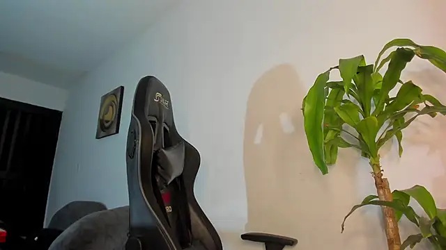 LoganTwink18 online show from 17, 12, 2025