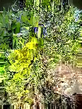 Desi Horny Boys online show from 3, 5, 2026