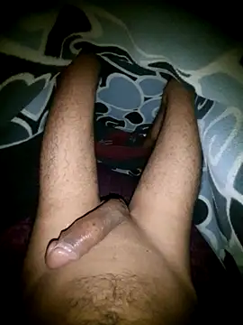 Desi Horny Boys online show from 5, 6, 2026