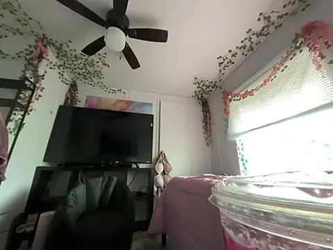 moan4mona online show from 26, 4, 2026