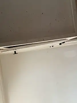 curis4270panda online show from 15, 2, 2026