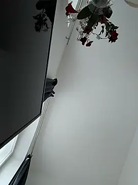 SexyLeon8 online show from 14, 1, 2026