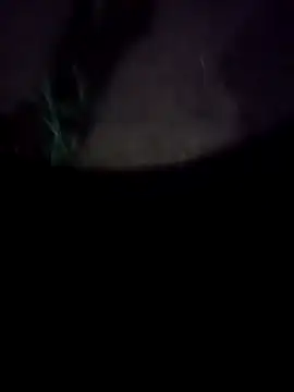 Snapshot of mkallu1995 chatting on 18, 2, 2026 mkallu1995 online show from 18, 2, 2026