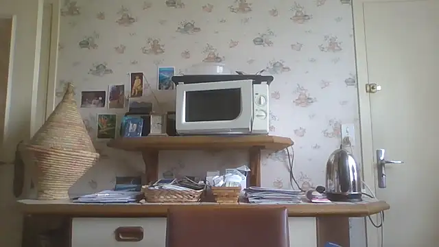 gegevincent online show from 26, 3, 2026