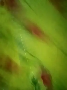 Snapshot of Shiya_janu chatting on 27, 10, 2025 Shiya janu online show from 27, 10, 2025