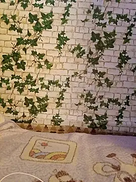 yaraa49 online show from 25, 4, 2026