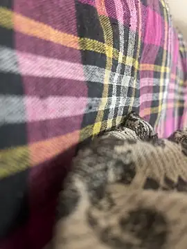 Snapshot of zack6x chatting on 19, 9, 2025 zack6x online show from 19, 9, 2025