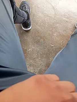 pauzudao 12 online show from 3, 3, 2026