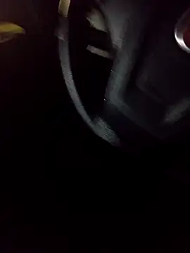 pauzudao 12 online show from 4, 3, 2026