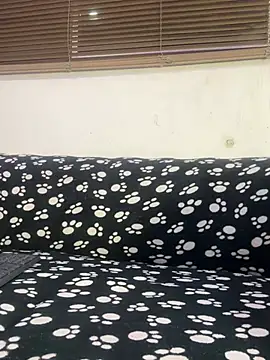 cody fox10 online show from 25, 4, 2026