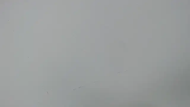 Snapshot of eladyrous98 chatting on 17, 12, 2025 eladyrous98 online show from 17, 12, 2025