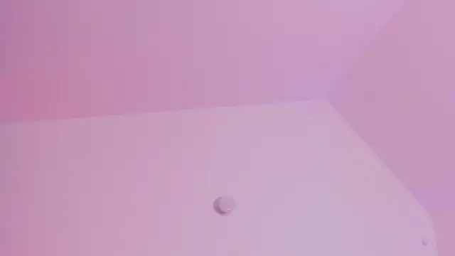 Taylormaxwell online show from 27, 11, 2025