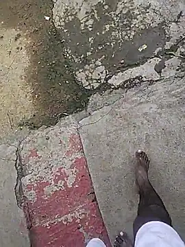 Telugu person12 online show from 2, 10, 2025