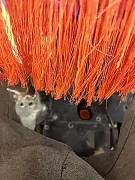 Telugu person12 online show from 12, 1, 2026