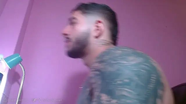 king falconer online show from 29, 5, 2026