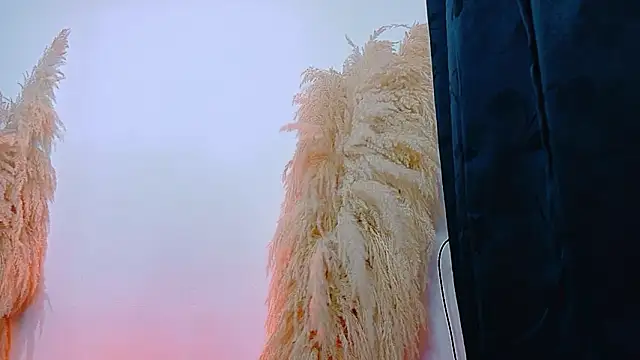 JulietaDavis online show from 22, 2, 2026