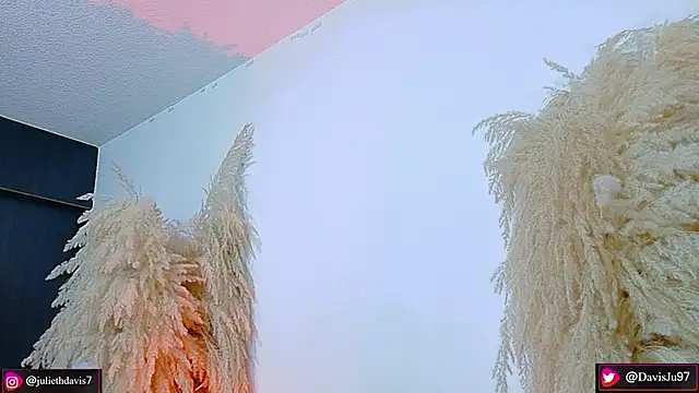 JulietaDavis online show from 20, 4, 2026