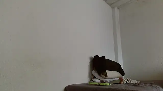 isabel 24 gil online show from 13, 11, 2025