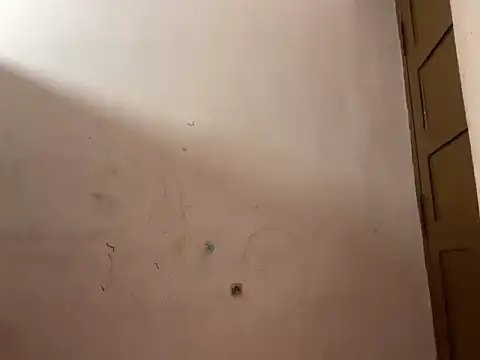 coolr2025 online show from 12, 1, 2026