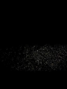 Snapshot of steelwoodVids chatting on 19, 11, 2025 steelwoodVids online show from 19, 11, 2025