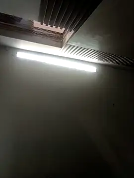 Teffy chell online show from 15, 3, 2026