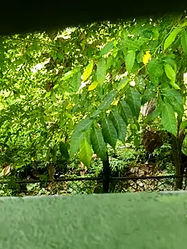 Snapshot of Exoticovergon chatting on 12, 3, 2026 Exoticovergon online show from 12, 3, 2026