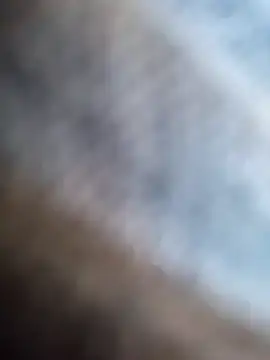 guridosul051 online show from 15, 10, 2025