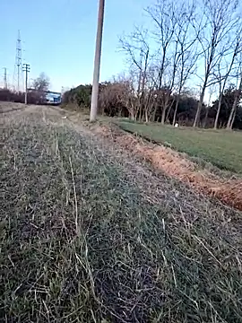 Prince-sexy online show from 6, 1, 2026