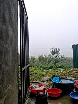 yoowwmr online show from 12, 11, 2025