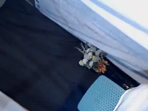 xyourdreamtrans online show from 24, 9, 2025