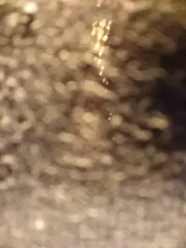 Venessa online show from 5, 12, 2025