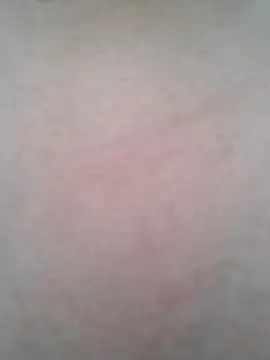 BigBoobs186 online show from 20, 10, 2025