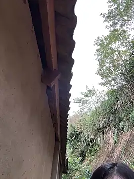 ThiHa003 online show from 27, 2, 2026