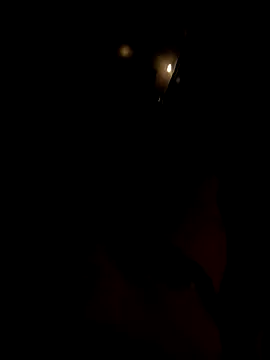 Snapshot of dutch_girl_lover chatting on 5, 10, 2025 dutch girl lover online show from 5, 10, 2025