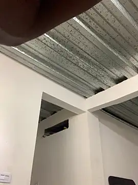 Torvii bnz16 online show from 8, 2, 2026