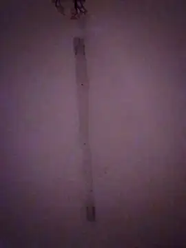 Bebita-zmp online show from 28, 3, 2026