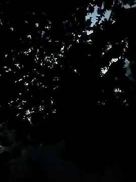 Snapshot of Girls_pussy_rider chatting on 24, 11, 2025 Girls pussy rider online show from 24, 11, 2025