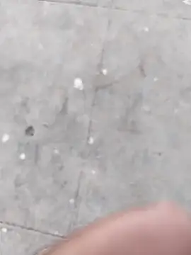 Snapshot of Wet_BunnyFun chatting on 5, 11, 2025 Wet BunnyFun online show from 5, 11, 2025