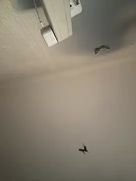 AroraAngel online show from 7, 3, 2026