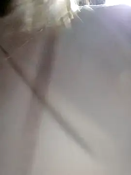 Snapshot of daisy_will chatting on 3, 12, 2025 daisy will online show from 3, 12, 2025