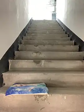 zhizhinaigai online show from 4, 11, 2025