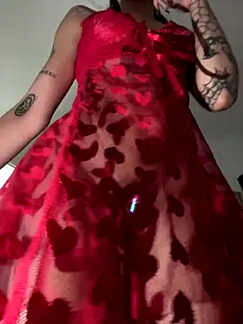 Snapshot of virtualgirlbr chatting on 15, 12, 2025 virtualgirlbr online show from 15, 12, 2025