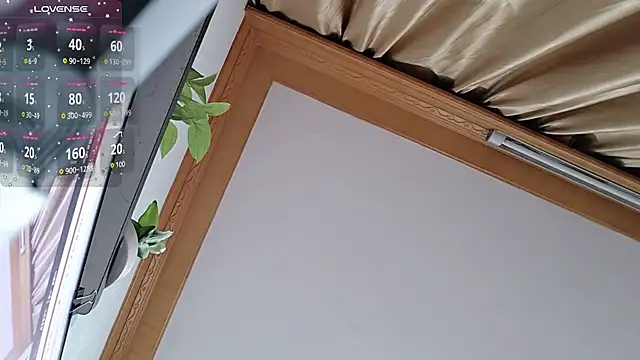 Haili-1 online show from 5, 10, 2025