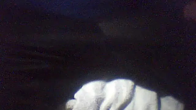 pietje1991 online show from 10, 2, 2026