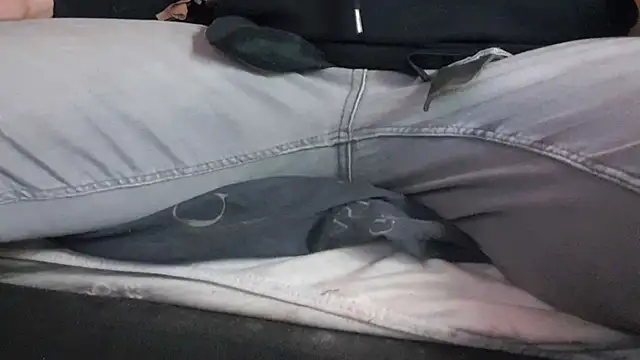 pietje1991 online show from 24, 4, 2026