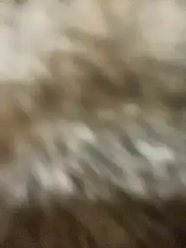 Sayhi xo online show from 27, 9, 2025