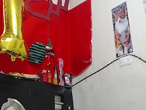 Npga96 online show from 20, 2, 2026