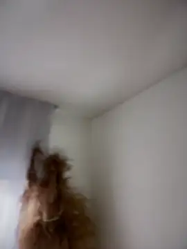 Sofi Leal online show from 5, 3, 2026