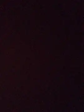 BiTransiboysex online show from 6, 8, 2026